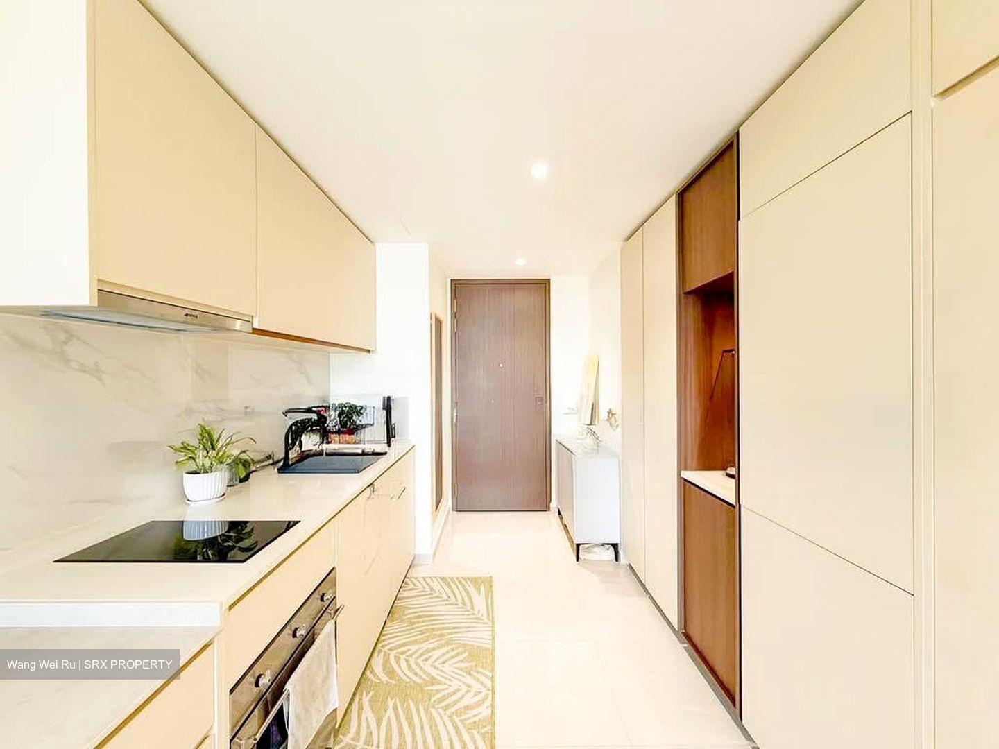 Kopar At Newton (D9), Apartment #565465411